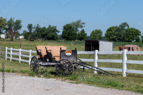 Amish Buggy for Sale