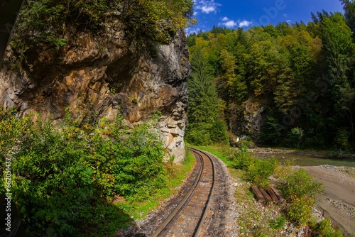 railway in the forest and mountains