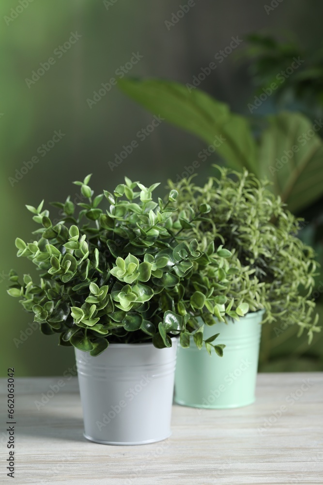 Different artificial potted herbs on white wooden table outdoors Different artificial potted herbs on white wooden table outdoors
