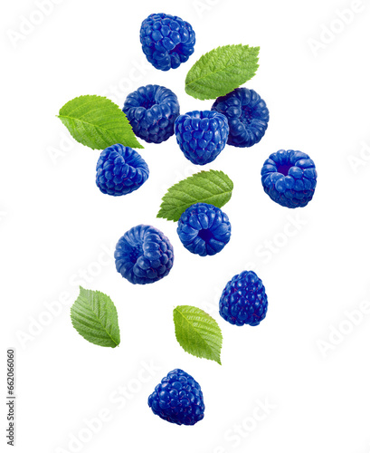 Many fresh blue raspberries and green leaves falling on white background