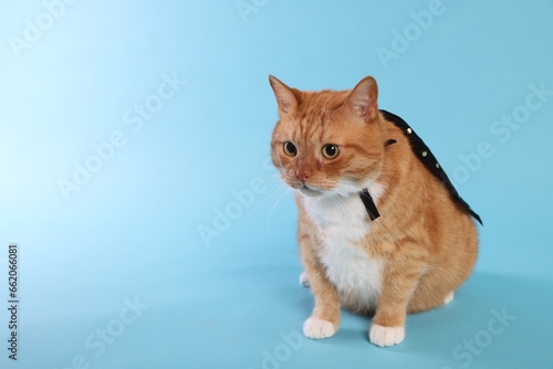 Cute ginger cat wearing cloak on light blue background, space for text