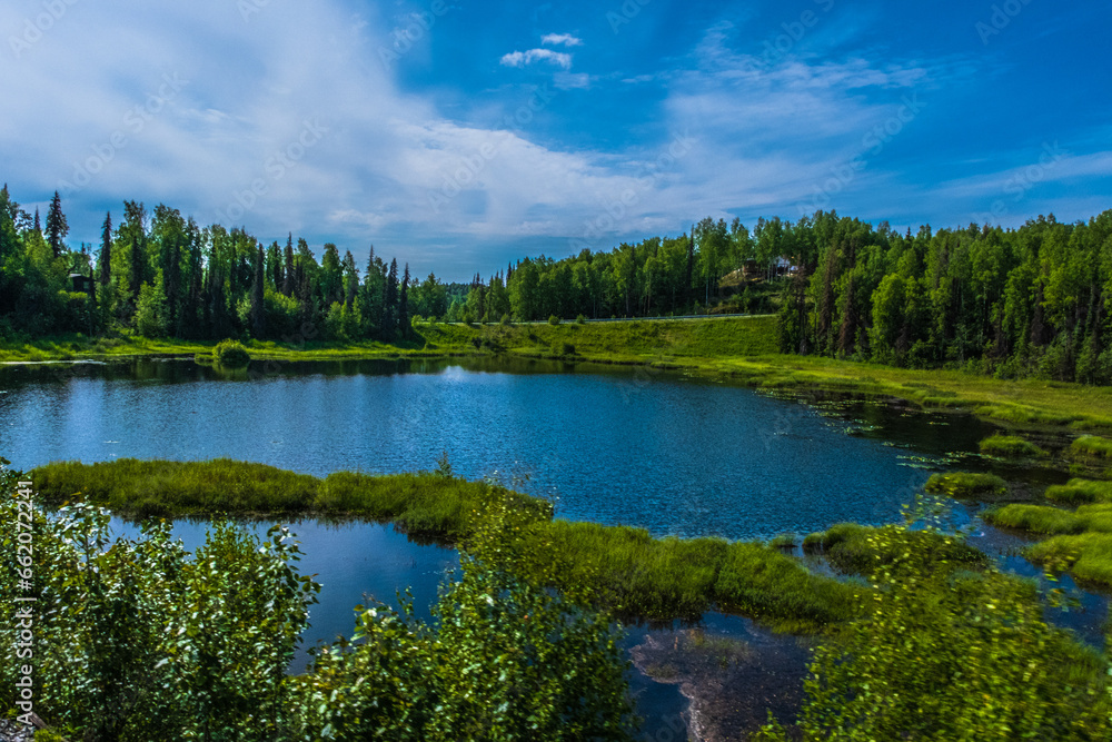 Bog and wetlands near Talkeetna Alaska Bog and wetlands near Talkeetna Alaska