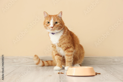 Fototapeta Naklejka Na Ścianę i Meble -  Cute red cat with feeding bowl near beige wall