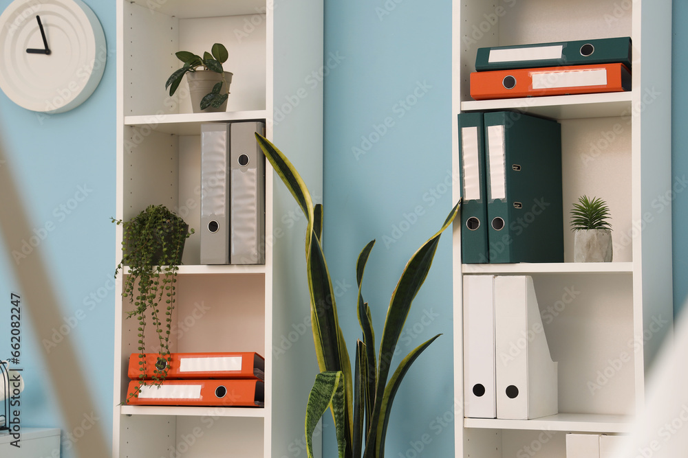 Shelf units with document folders and plants in office - obrazy, fototapety, plakaty 