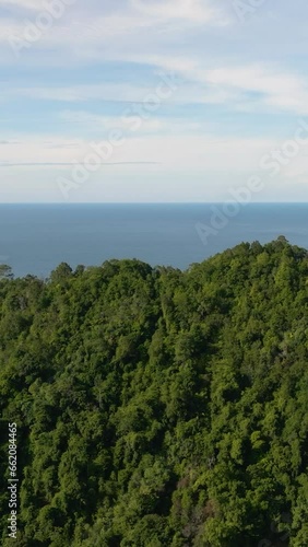 Wallpaper Mural Mountains with rainforest and blue sea. Tropical landscape. Sumatra, Indonesia. Torontodigital.ca