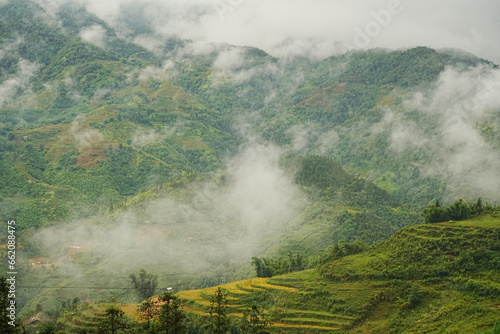 Amazing Rice Paddy or Rice Field in hidden Mountain, Sapa, Vietnam - ベトナム サパ 棚田 © Eric Akashi