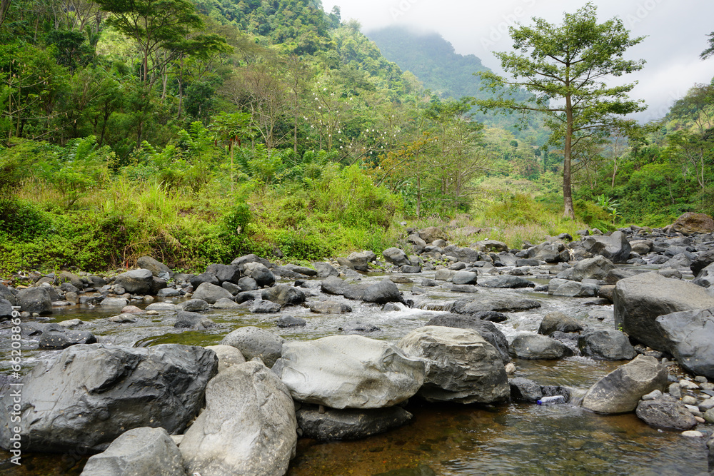Rocky river water flow with green rice fields on the river side in Muria Mountains, Tempur Village, Jepara Regency, Central Java, Indonesia. Rocky river water flow with green rice fields on the river side in Muria Mountains, Tempur Village, Jepara Regency, Central Java, Indonesia.