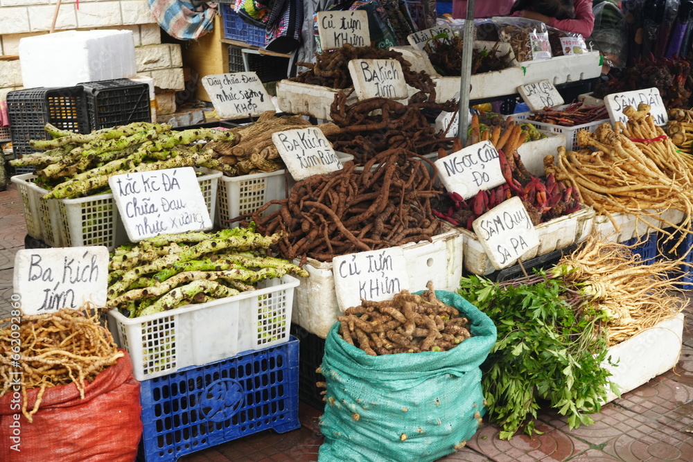Colorful Vegetable and Fruits at Sapa Market in Sapa, Vietnam - ベトナム サパ 市場 野菜や果物