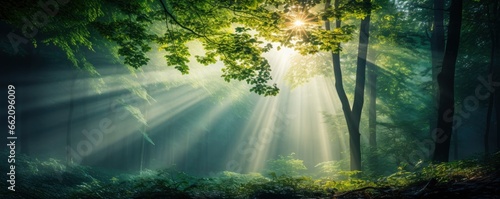 green forest trees with sun ray background  Generative AI