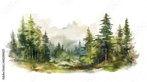 Beautiful abstract pine tree in forest landscape watercolor brush with isolated white background, Vector illustration for wedding invitation, RSVP, wallpaper, banner, poster, etc.