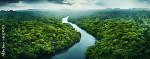 amazon rainforest, aerial view photography, top view photography, Generative AI photo
