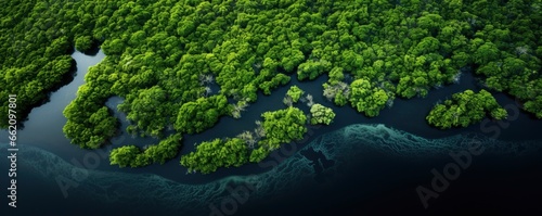 mangrove forest  aerial view photography  top view photography  Generative AI