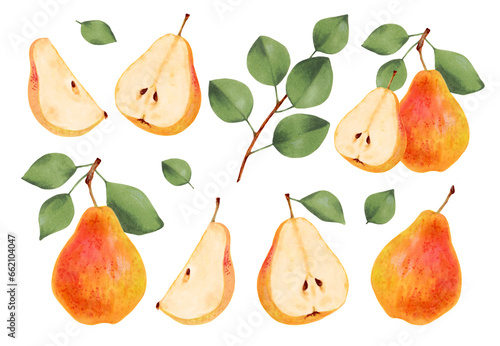 Fototapeta Naklejka Na Ścianę i Meble -  Collection of yellow pears. Whole, halves and pieces of pear with green leaves. Ripe fruits from a tree. Vegetarian products. Organic food. Watercolor illustration. Hand drawn isolated.