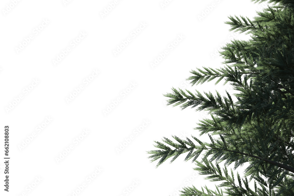 Digital png illustration of green fir tree on transparent background