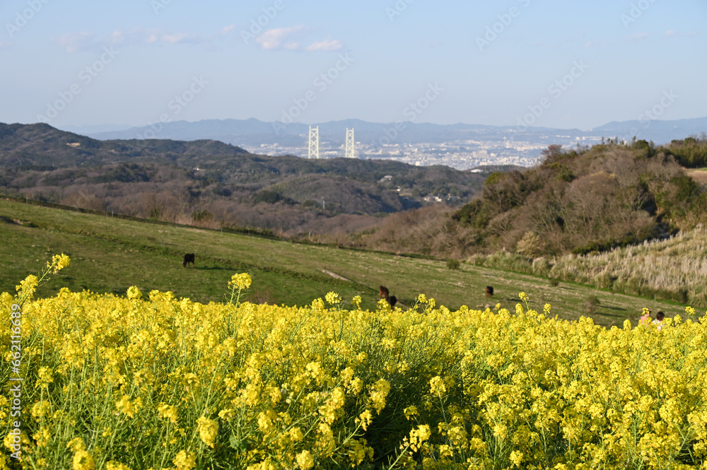Circling Shikoku in spring