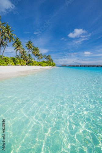 Fantastic sunny panorama at Maldives. Luxury resort seascape. Majestic sea waves coconut palm trees sand sunshine sky. Beauty paradise beach popular destination. Best summer vacation travel background © icemanphotos