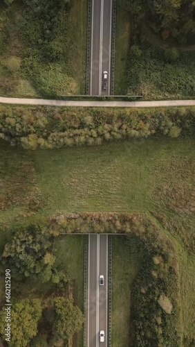 car driving through the forest photo