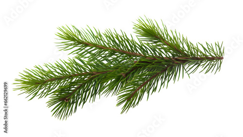 Fotografia Realistic Christmas tree llustration for Xmas cards, New year party posters isolated Transparent png background