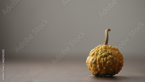 small decorative warty pumkin on walnut table with copy space