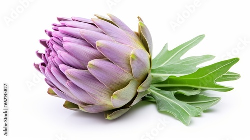 A visually isolated artichoke flower with its edible bud  presented alongside a cross-section view  all set against a clean white background for enhanced clarity and focus.