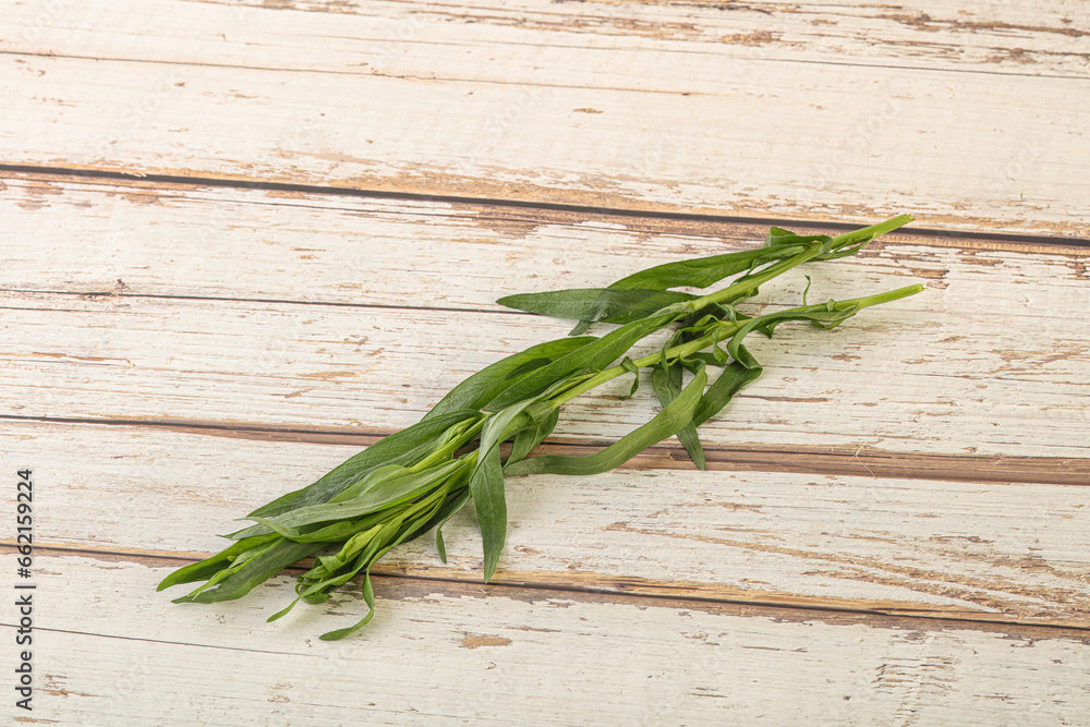 Green tarragon herb spice for cooking Green tarragon herb spice for cooking