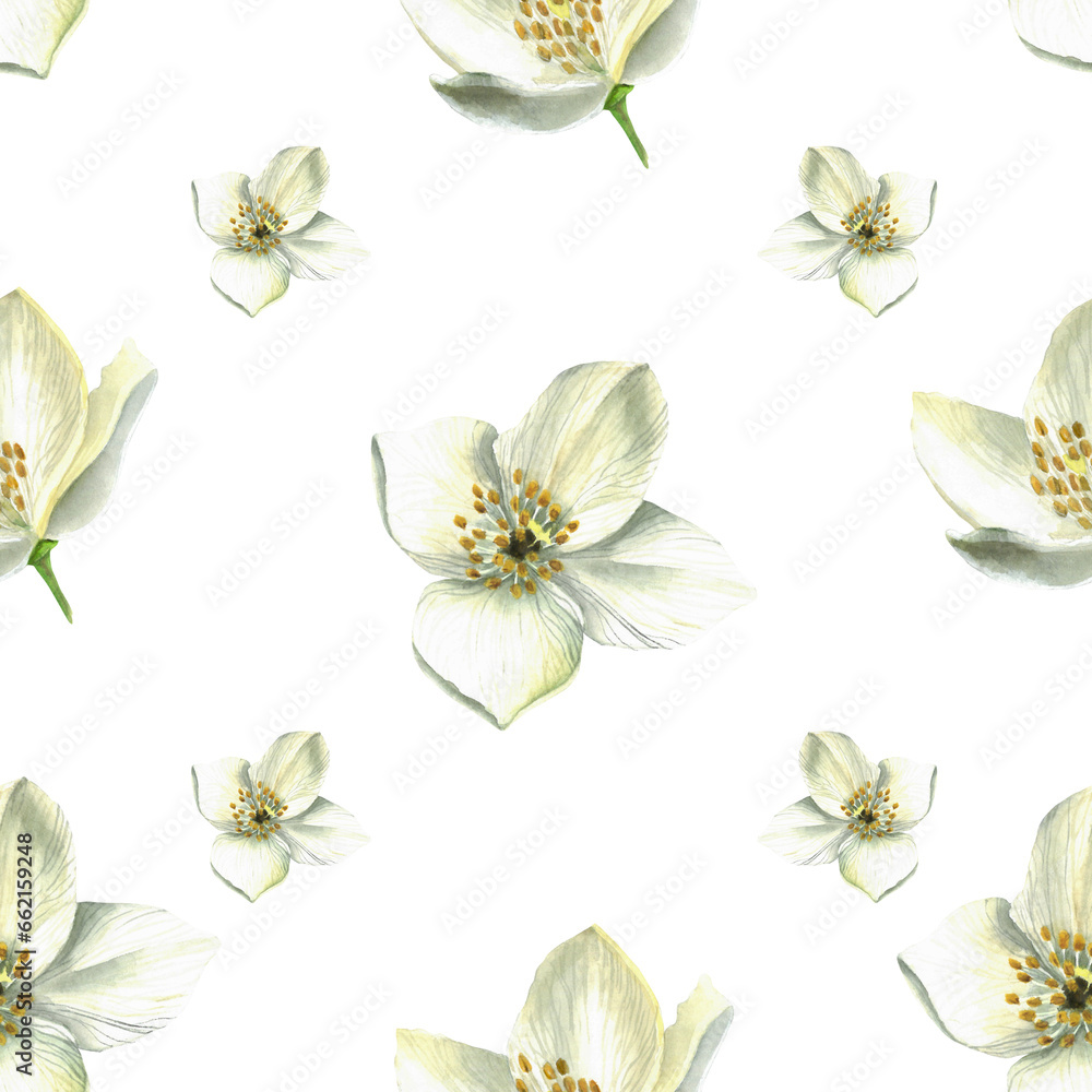 Watercolor illustration of jasmine - seamless pattern for souvenirs and textiles. Isolated on transparent background, hand drawn