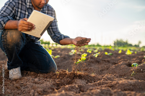 Agriculture, Expert hand of farmer checking soil health before growth a seed of vegetable or plant seedling. Business or ecology concept.
