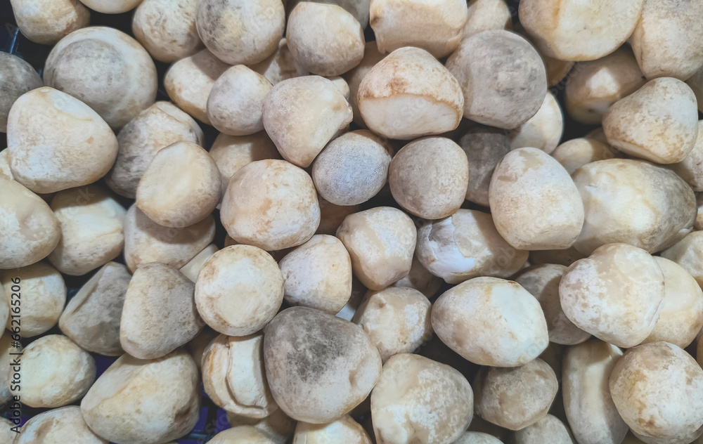 Pile of many straw mushrooms background for sale in local market, top view and full frame Pile of many straw mushrooms background for sale in local market, top view and full frame