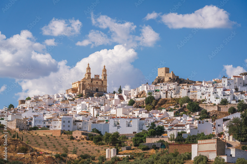 Landscapes of the old white town, castle and church on the hill of Olvera in Cadiz, Spain