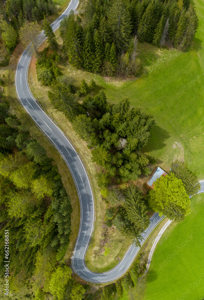 Portrait format of romantic Lechtal Alps pass road which winds through the green forest with hairpin bends