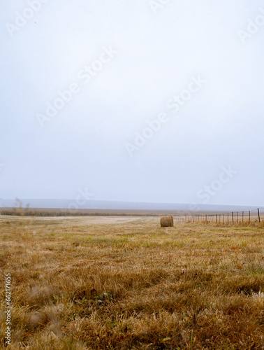 Foggy farmland landscape with hay bales.