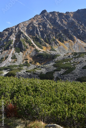 Fototapeta Naklejka Na Ścianę i Meble -  góry, szczyt, Tatry, jesień, wierzchołek, TPN, grań, wspinaczka, szlak, turystyczny, pogoda, Polska, piesze wycieczki, krajobraz,