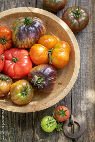 Various types of tomatoes i...