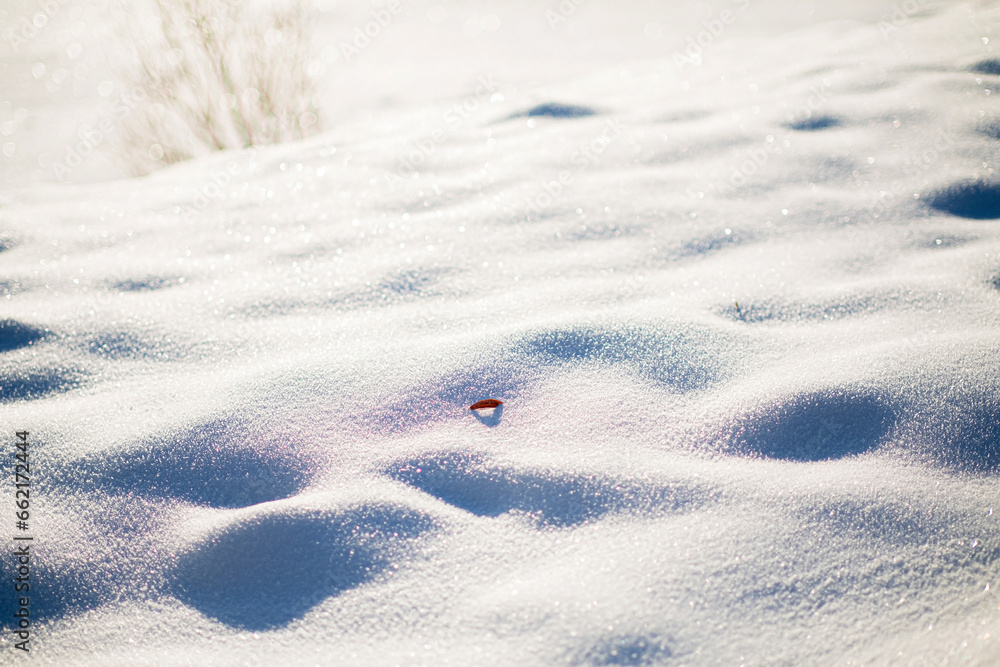 Obraz premium Snow surface - abstract natural background
