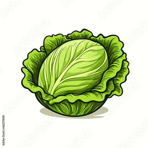 Lettuce hand-drawn illustration. Lettuce. Vector doodle style cartoon illustration