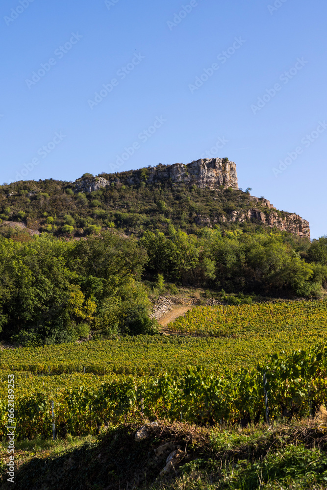 Roche du Solutré, escarpement calcaire surplombant le vignoble de la célèbre appellation Pouilly-Fuissé, en Bourgogne, dans le village de Solutré-Pouilly près de Mâcon