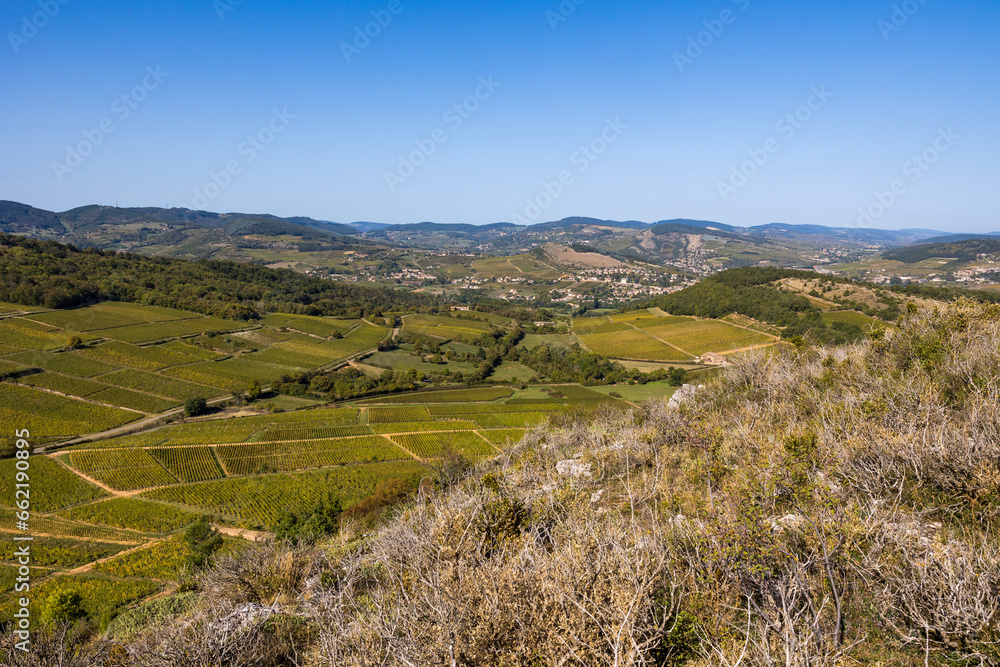 Village de La Roche-Vineuse, entouré par le vignoble de la célèbre appellation Pouilly-Fuissé, depuis Vergisson