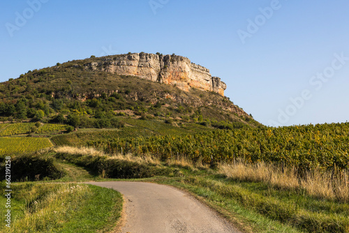 Falaise calcaire de la Roche du Vergisson surplombant le vignoble de la célèbre appellation Pouilly-Fuissé, en Bourgogne, près de Mâcon