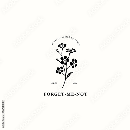 Flat vector forget-me-not flower drawing