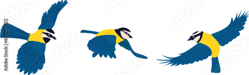 tits flying on a white background, vector