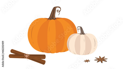 4k Animated Pumpkins, Cinnamon Sticks and Vanilla. Decorative Autumn  Elements Set. Isolated fall season objects . Autumn design isolated on green chroma key screen.>>>>