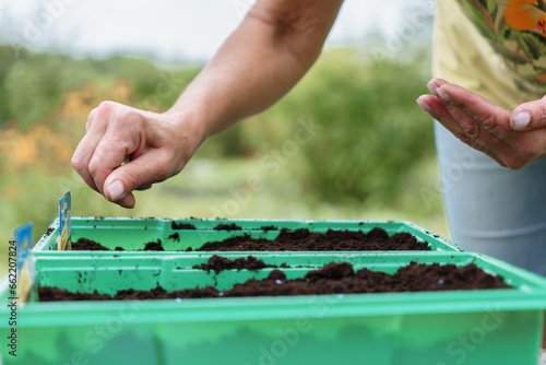 Planting seeds in plastic containers