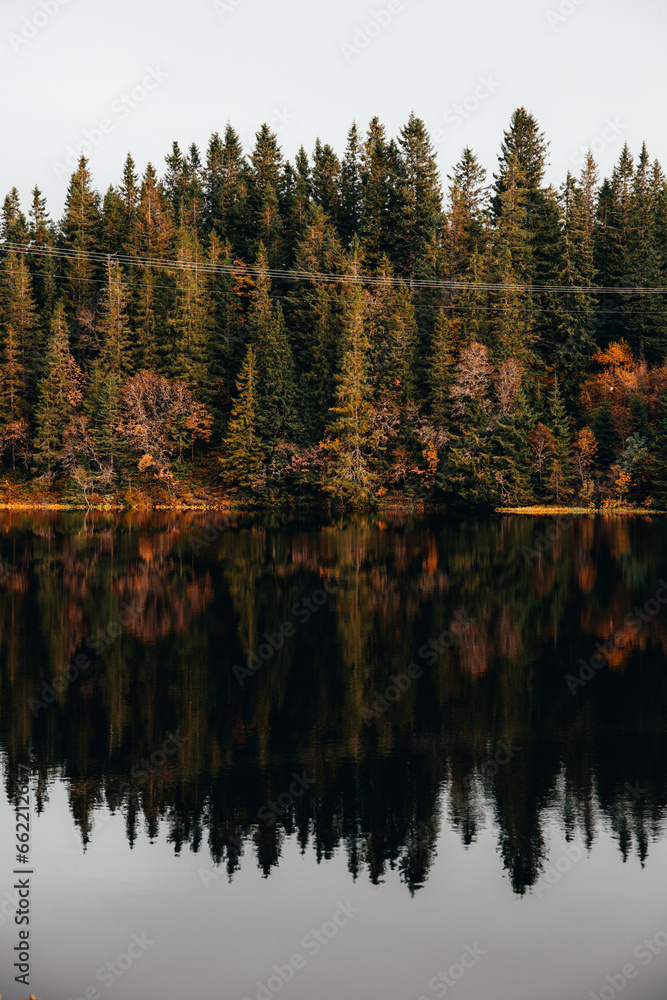 forêt automnale au bord du lac forêt automnale au bord du lac