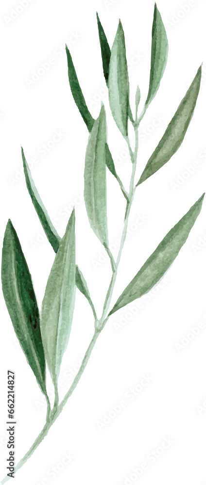 Fototapeta premium green leaves branch 8
