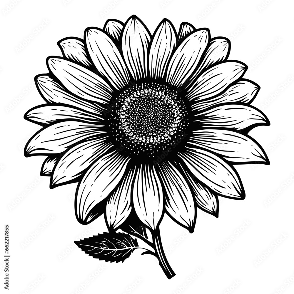 Sunflower woodcut print style vector