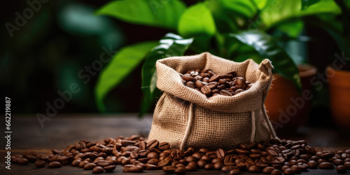 Bag of fresh roasted coffee beans on the green plantation background