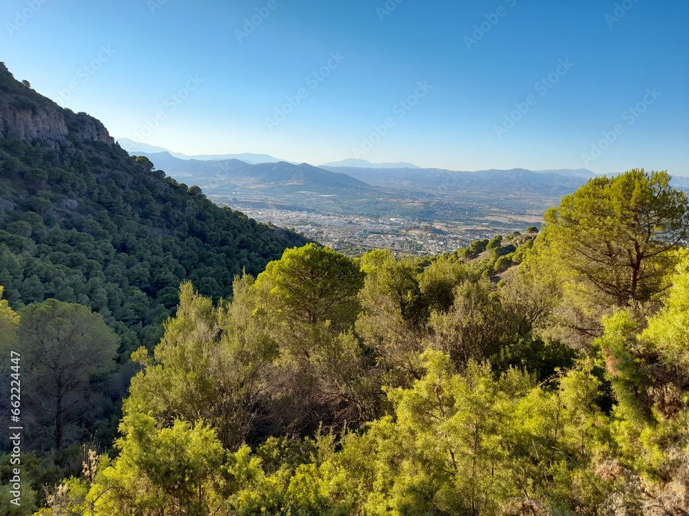 View to the distant mountains of Malaga from a mountain forest in Malaga with a beautiful blue sky and some pretty pine trees