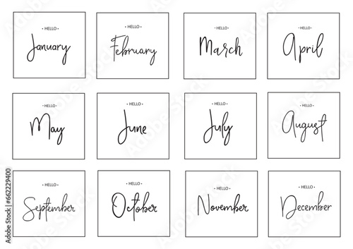 Set of months, lettering print. Vector illustration
