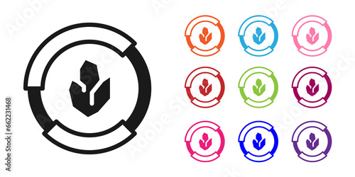 Black Agricultural soil test and results icon isolated on white background. Digital soil analysis. Set icons colorful. Vector