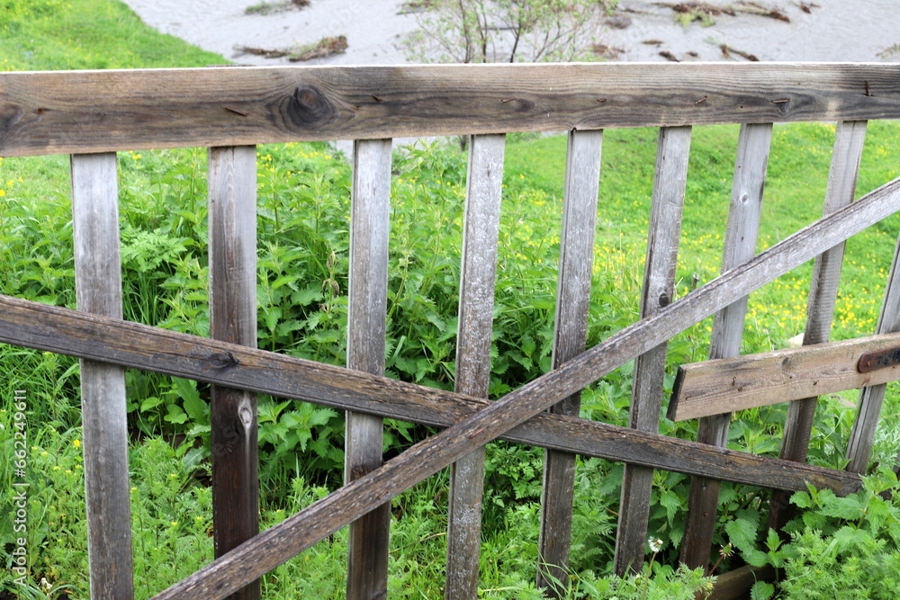 Green plants and flowers grow along a fence in a city park.